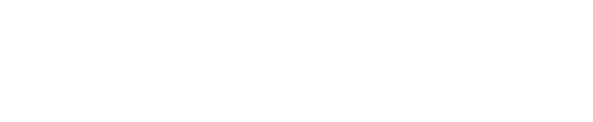 byte-genius-high-resolution-logo-white-transparent